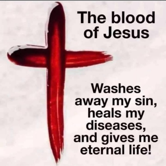 LYADONNA POSH ⭐️ AMBASSADOR 11⭐️ - Picture 7 of 8